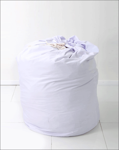 P1295ڷ